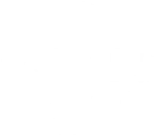 Status Invest